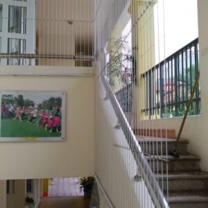 Lưới Cầu Thang Mẫu 2024